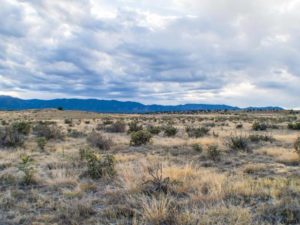 40 Acres in Florence, CO 81226