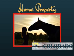 Horse Property Colorado