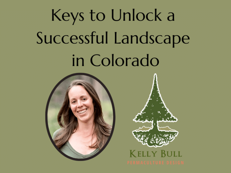 Keys to Unlock a Successful Landscape in Colorado